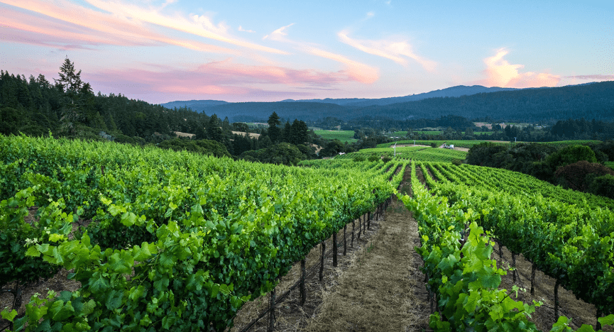 Napa Valley