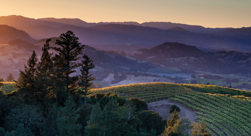 Anderson Valley