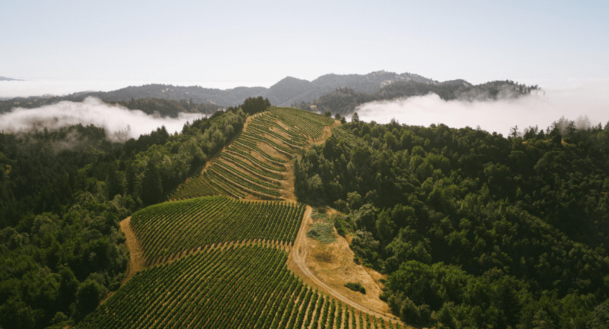 Sonoma Coast