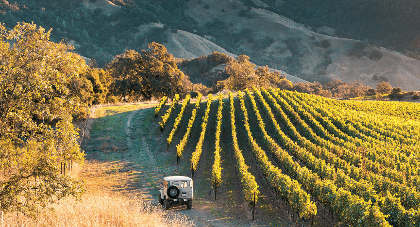 Redwood Valley
