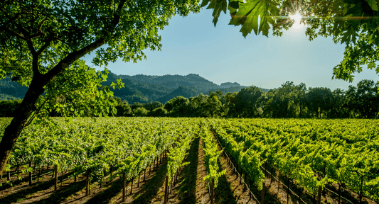 Certificeringer i Californien: Hvad Betyder CCOF, Demeter og ROC?