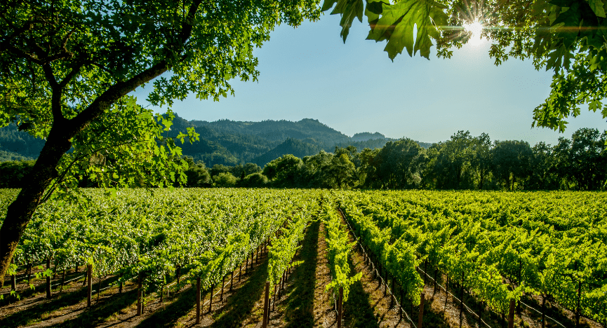 Certificeringer i Californien: Hvad Betyder CCOF, Demeter og ROC?