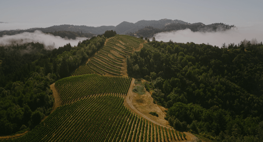 Vinmarker i Californien